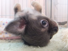 ゴールデンウィーク(*^_^*)