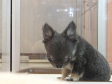 ほのぼの～(*´д｀*)