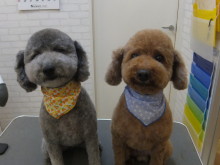 母の日(*’▽’*)♪