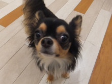 こんばんは(´∀｀)