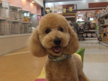 そろそろ(´>ω∂`)