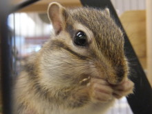 ポチたま水島店(*´д｀*)