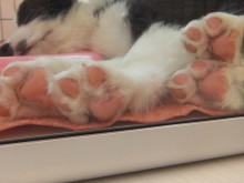 平和が一番(*´д｀*)