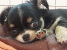 土曜日です(´∀｀)