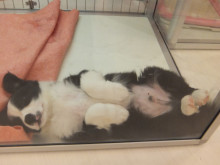 イチ押し～(*´д｀*)