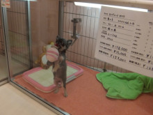 まったり～(´∀｀)