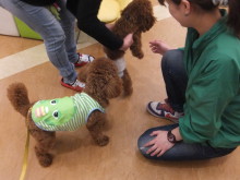 お早めに(*´д｀*)