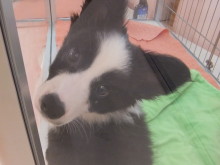 引き分け・・・(;_;)