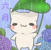 新メンバー(´∀｀)