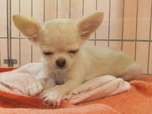 ☆お迎えになりました☆