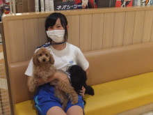 職場体験(*´д｀*)