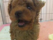 ３連休～(´∀｀)