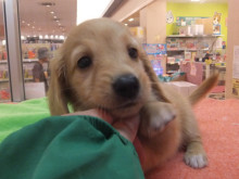 仲間入りしました(*´ω｀*)