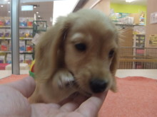 遊びにきてください( ´ ▽ ` )