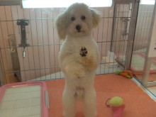 こんばんは(*´ω｀*)