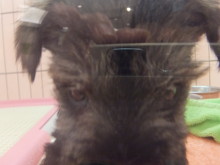 ブースデビュー(*ﾟ▽ﾟ*)