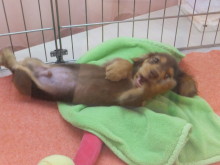 台風なんてどっかに行っちゃえ～(｀・ω・´)