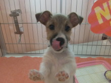 敬老の日ですね(*´д｀*)