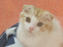 残暑お見舞い申し上げます(*´д｀*)