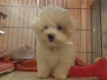 遊びに来てね(*ﾟ▽ﾟ*)