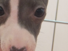 お迎えになりました☆彡