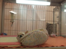 秋ですね(*´д｀*)