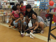 お迎えになりました(๑≧౪≦)