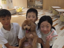 お迎えになりました(*ﾟ▽ﾟ*)