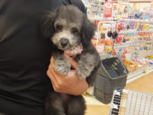 お迎えになりました(*´д｀*)