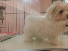 元気いっぱい(*ﾟ▽ﾟ*)