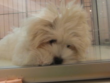 こんにちは(^O^)