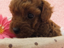 秋晴れ～(´∀｀)