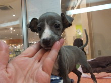 台風接近中(・_・;)