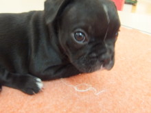 ３連休二日目～(´∀｀)/