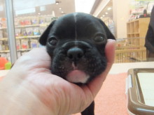 ３連休(*´д｀*)