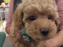 お迎えになりました(*´д｀*)