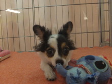 ３連休最終日(๑≧౪≦)