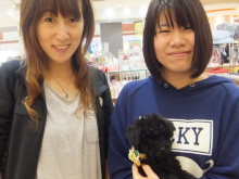 お迎えになりました(*´д｀*)