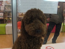 とってもいい子(*^^*)