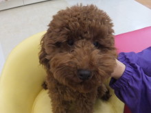 仲間入りしました(*´ω｀*)