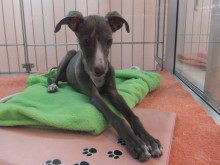 会いにきてね(o^^o)