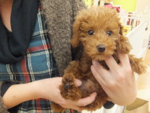 お迎えになりました(*ﾟ▽ﾟ*)