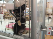 キュンキュン(*´∀｀*)