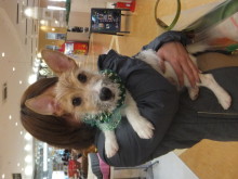 お迎えになりました(´∀｀*)