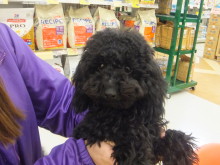 仲間入りしました( ´▽｀)