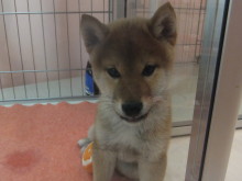 謹賀新年ヽ(´▽｀)/