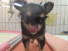 ご飯の時間(´∀｀)