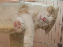 癒されます(*´▽｀*)