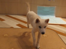 元気いっぱいヽ(^0^)ノ