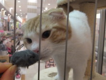 ３連休最終日(^O^)